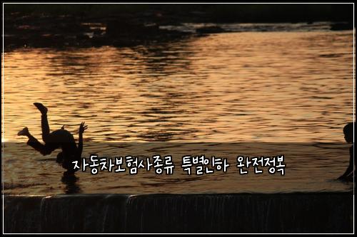 자동차보험사종류 특별인하 완전정복