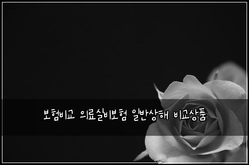 보험비교 의료실비보험 일반상해 비교상품
