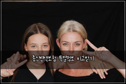 종신변액보험 특별정보  비교받기