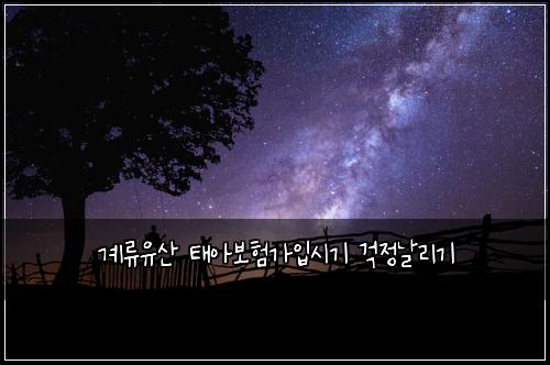계류유산 태아보험가입시기 걱정날리기