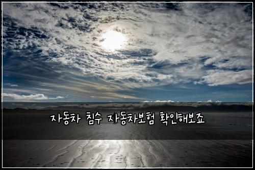 자동차 침수 자동차보험 확인해보죠 