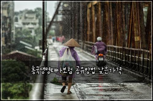 ํฅ๊ตญ์๋ช
ํ์๋ณดํ ๊ณต์ ๋ฐฉ๋ฒ ๋ฎ์๊ฐ๊ฒฉ