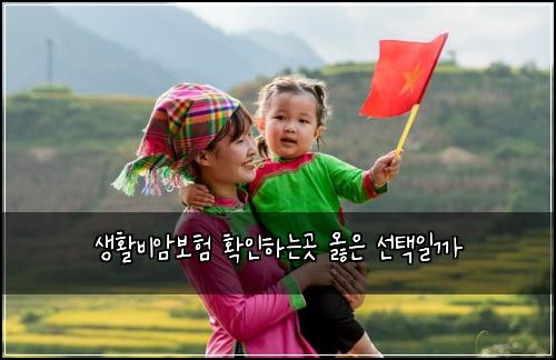 생활비암보험 확인하는곳  옳은 선택일까