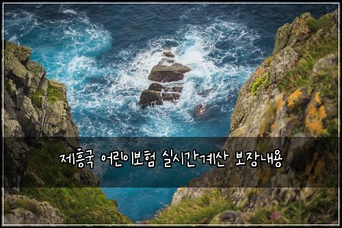 제흥국 어린이보험 실시간계산  보장내용