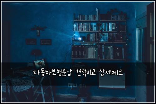 자동차보험분납 견적비교 상세체크