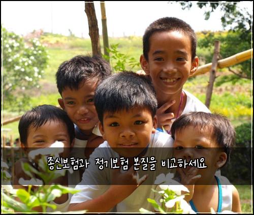 종신보험과 정기보험 본질을 비교하세요