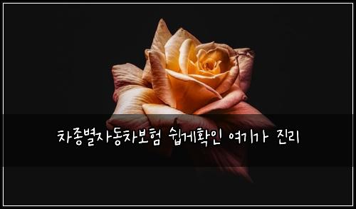 차종별자동차보험 쉽게확인  여기가 진리