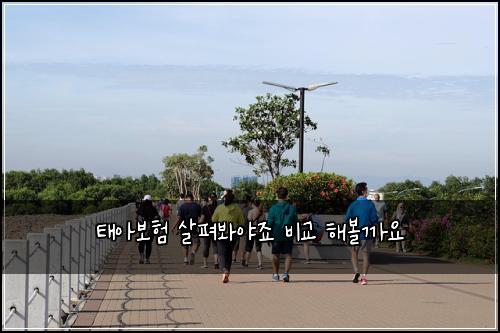 태아보험 살펴봐야죠  비교 해볼까요