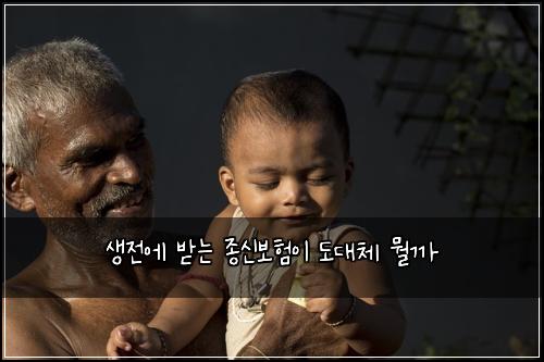 생전에 받는 종신보험이 도대체 뭘까