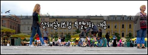 ์ํด์ค๋น๋ณดํ ํน๋ณ์ธํ ๋ด์ฉ