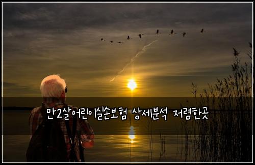 만2살어린이실손보험 상세분석  저렴한곳