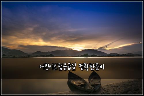 어린이보험응급실 정확한준비