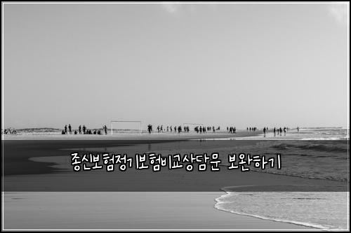 종신보험정기보험비교상담문 보완하기