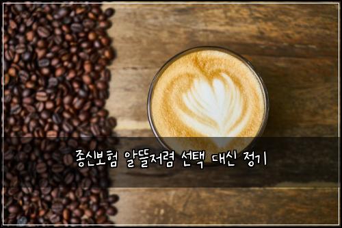 종신보험 알뜰저렴  선택 대신 정기