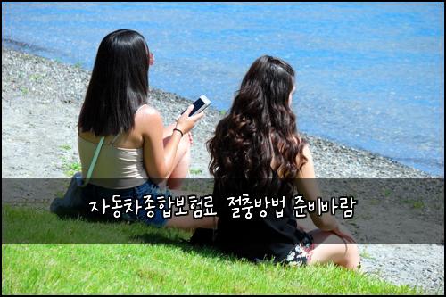 자동차종합보험료 절충방법 준비바람