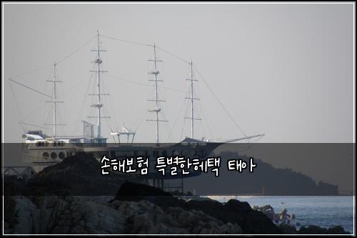 손해보험 특별한헤택  태아