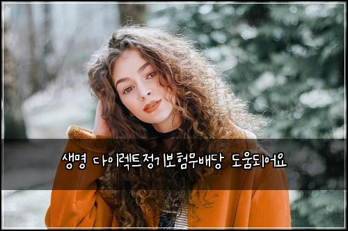 생명 다이렉트정기보험무배당 도움되어요