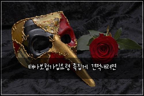 태아보험가입요령 족집게 견적내려면