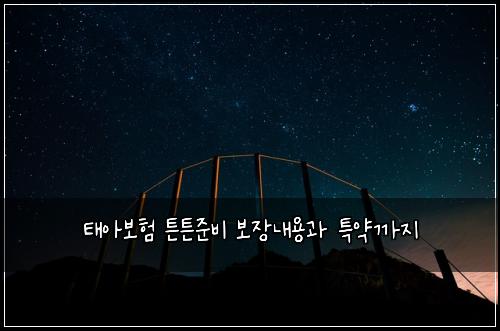 태아보험 튼튼준비  보장내용과 특약까지