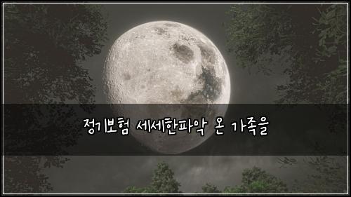 정기보험 세세한파악  온 가족을