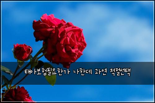ํ์๋ณดํํ์ํ๊ฐ ๋ํ๋ฐ ๊ณผ์ฐ ์ ์ ์ ํ