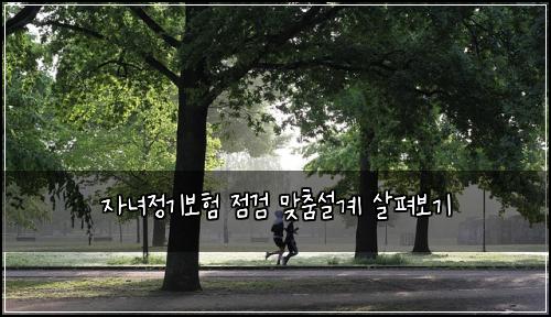 자녀정기보험 점검  맞춤설계 살펴보기