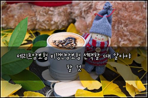 메리츠암보험 비갱신암보험 선택할 때 알아야 할 것