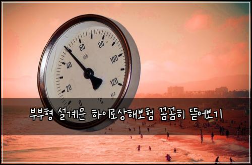부부형 설계문 하이로상해보험 꼼꼼히 뜯어보기