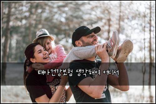 태아건강보험 생각해여  어디서