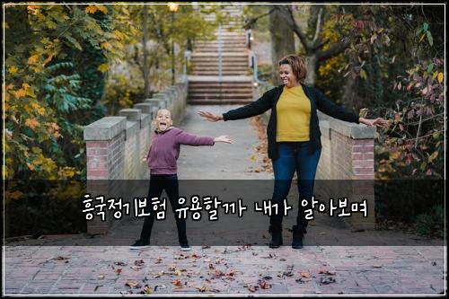 흥국정기보험 유용할까  내가 알아보며