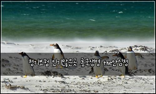 정기보험 인기많은곳  흥국생명 the안심정