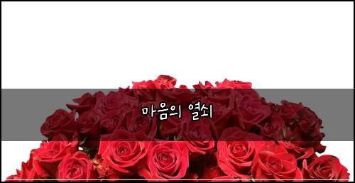 마음의 열쇠