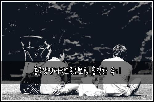 흥국생명퍼펙트종신보험 솔직한 후기