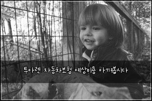 투아렉 자동차보험 예상비용  아껴봅시다