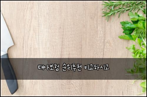 태아보험 순위추천  비교하시고