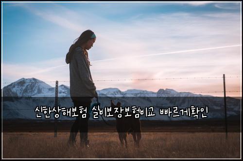 ์ ํ์ํด๋ณดํ ์ค๋น๋ณด์ฅ๋ณดํ๋น๊ต ๋น ๋ฅด๊ฒํ์ธ