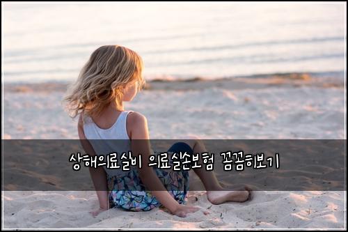상해의료실비 의료실손보험 꼼꼼히보기 