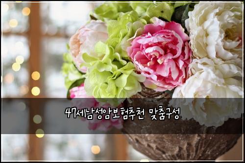 47세남성암보험추천 맞춤구성