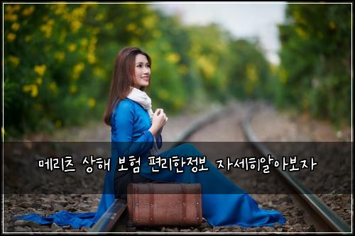 메리츠 상해 보험 편리한정보  자세히알아보자