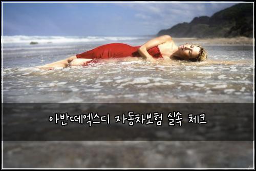 아반떼엑스디 자동차보험 실속 체크