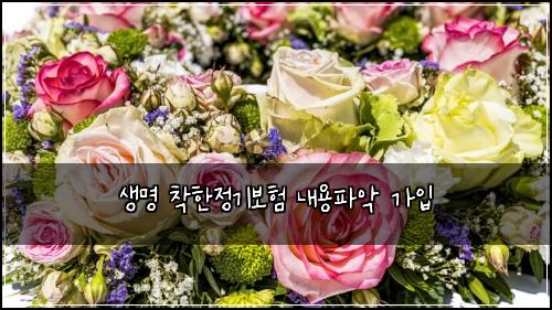 생명 착한정기보험 내용파악  가입