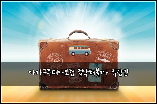 다가구주태아보험 절약해볼까  직장인