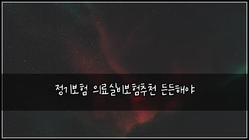 정기보험 의료실비보험추천 든든해야