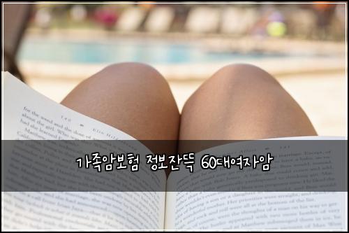 가족암보험 정보잔뜩  60대여자암