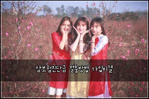암보험진단금 절충방법 가입비결