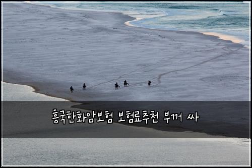 흥국한화암보험 보험료추천  부꺼 싸
