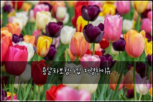 용달차보험가입 저렴한이유