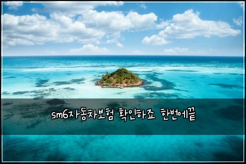 sm6자동차보험 확인하죠  한번에끝