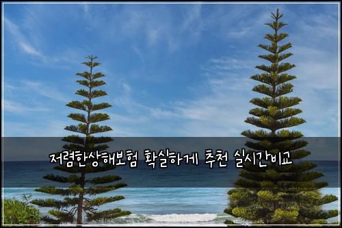 ์ ๋ ดํ์ํด๋ณดํ ํ์คํ๊ฒ ์ถ์ฒ ์ค์๊ฐ๋น๊ต