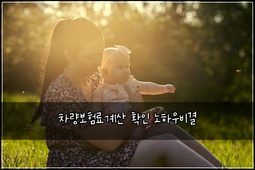 차량보험료계산 확인 노하우비결